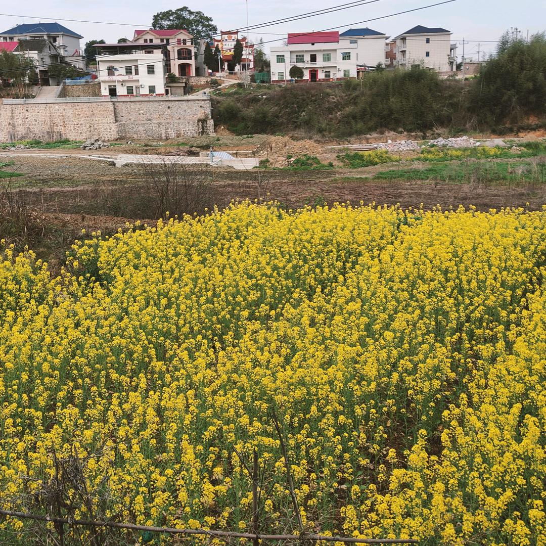 专业回收废品家电电动摩托车