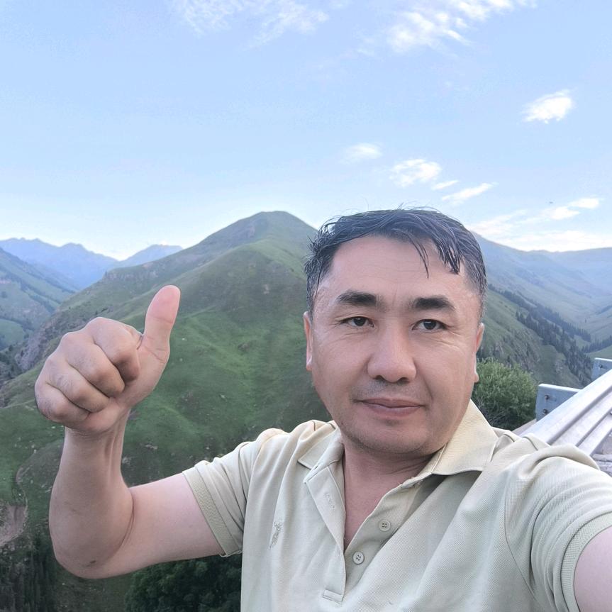 哈力
