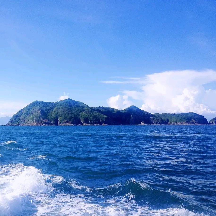 老胡柴油面包车批发~小刘哥