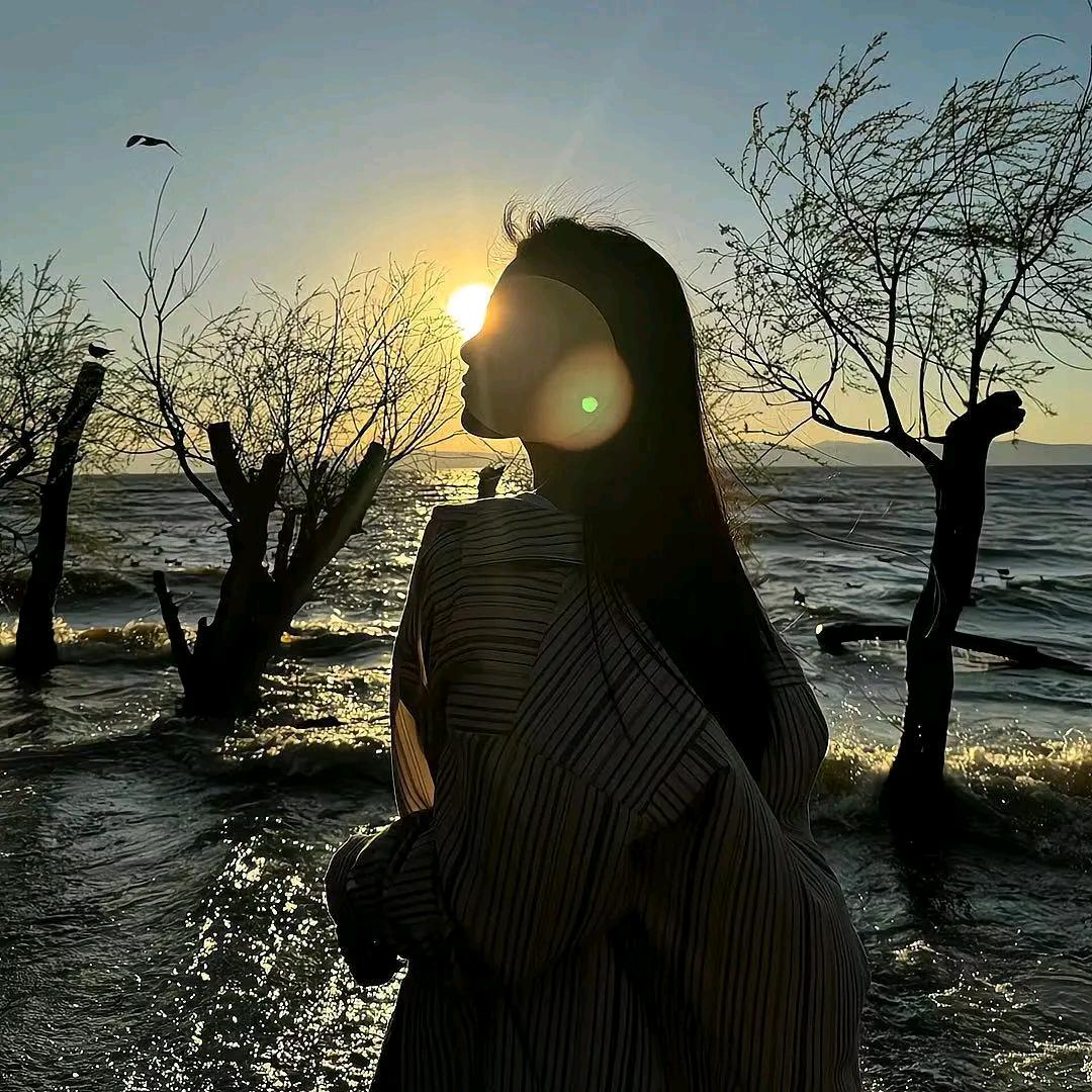 清浅时光