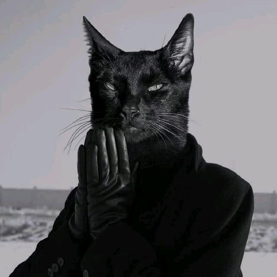 iii纸质书（三角洲行动）