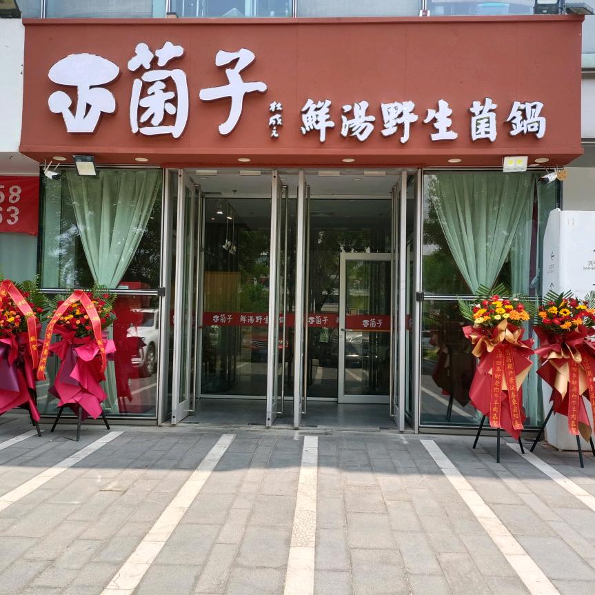 菌子鲜湯野生菌鍋