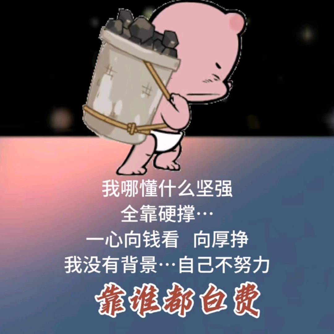 徐徐上新