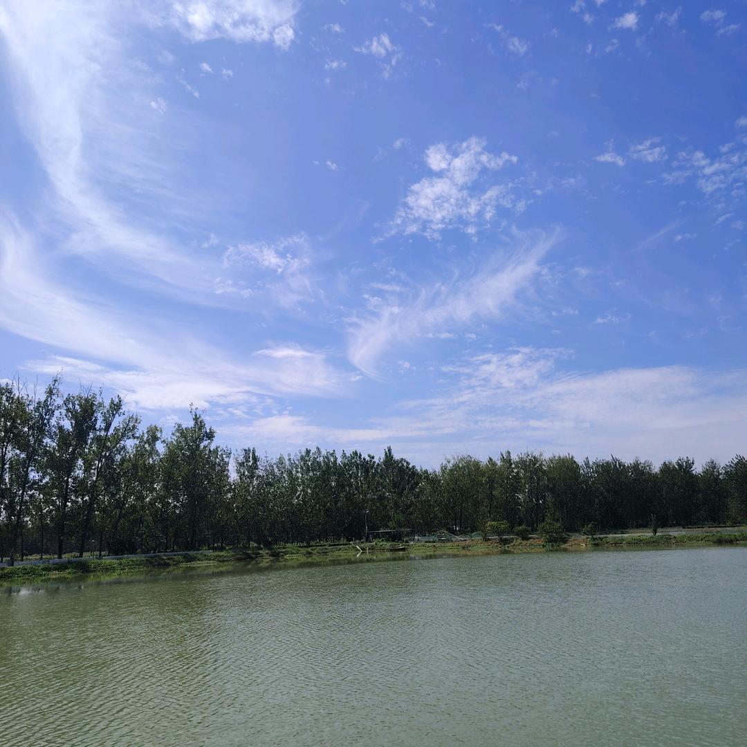 精养大闸蟹@闫辉
