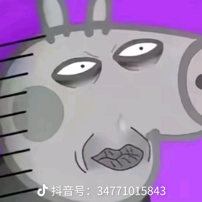 厦门湖里区信桦岳橙百货经营部（个体工商户）