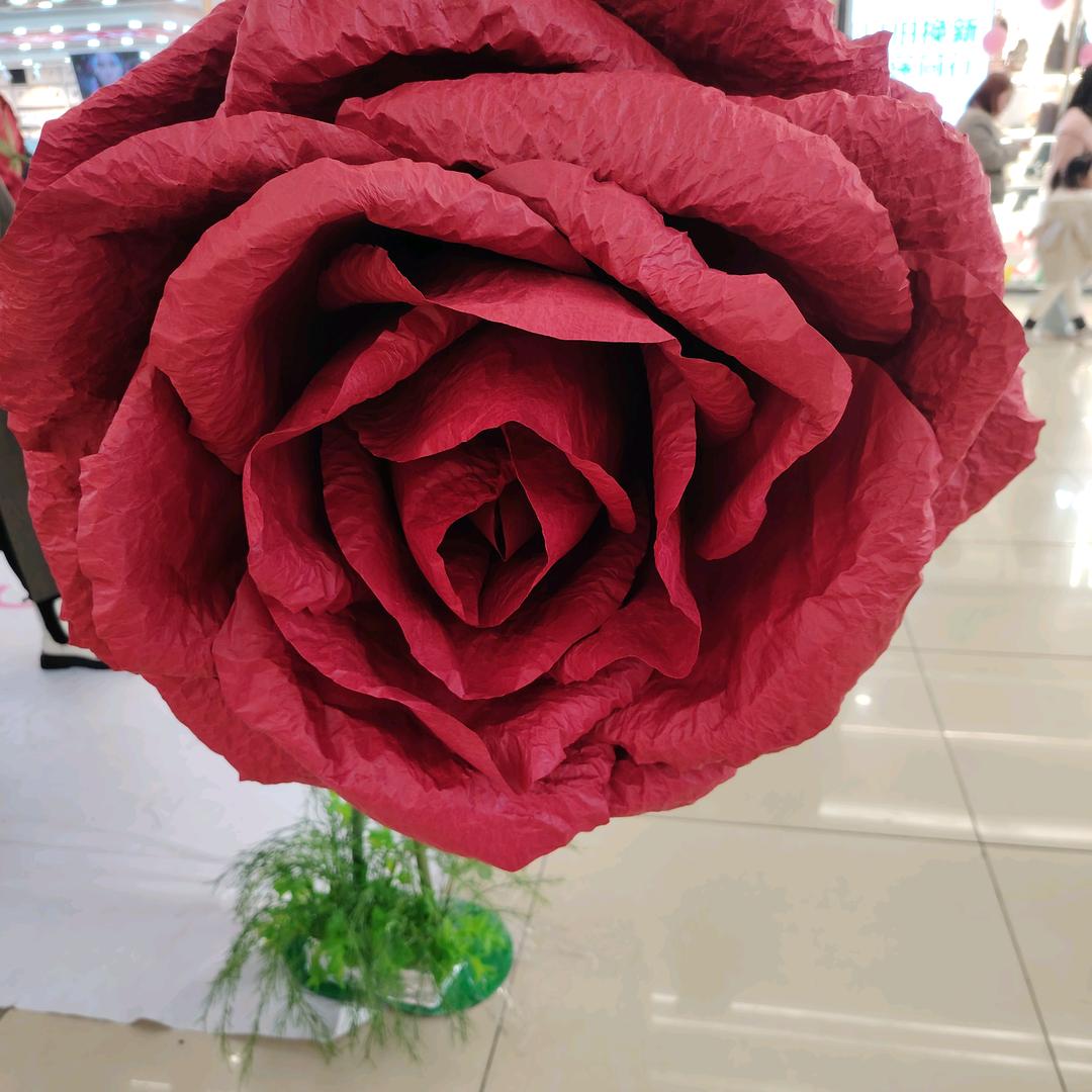全民互关秒回。
