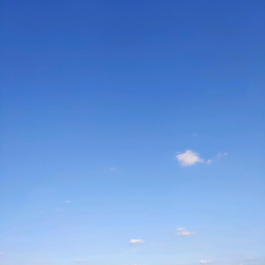 少 年  梦 想   春 夏 秋 冬