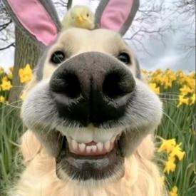 重生之我在非洲卖电热毯(๑•̀ㅂ•́)و