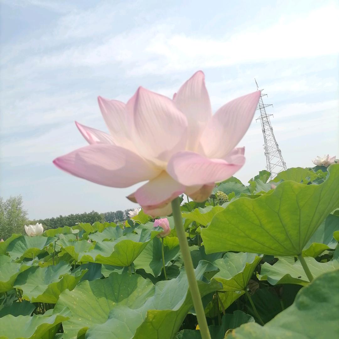 相信自己