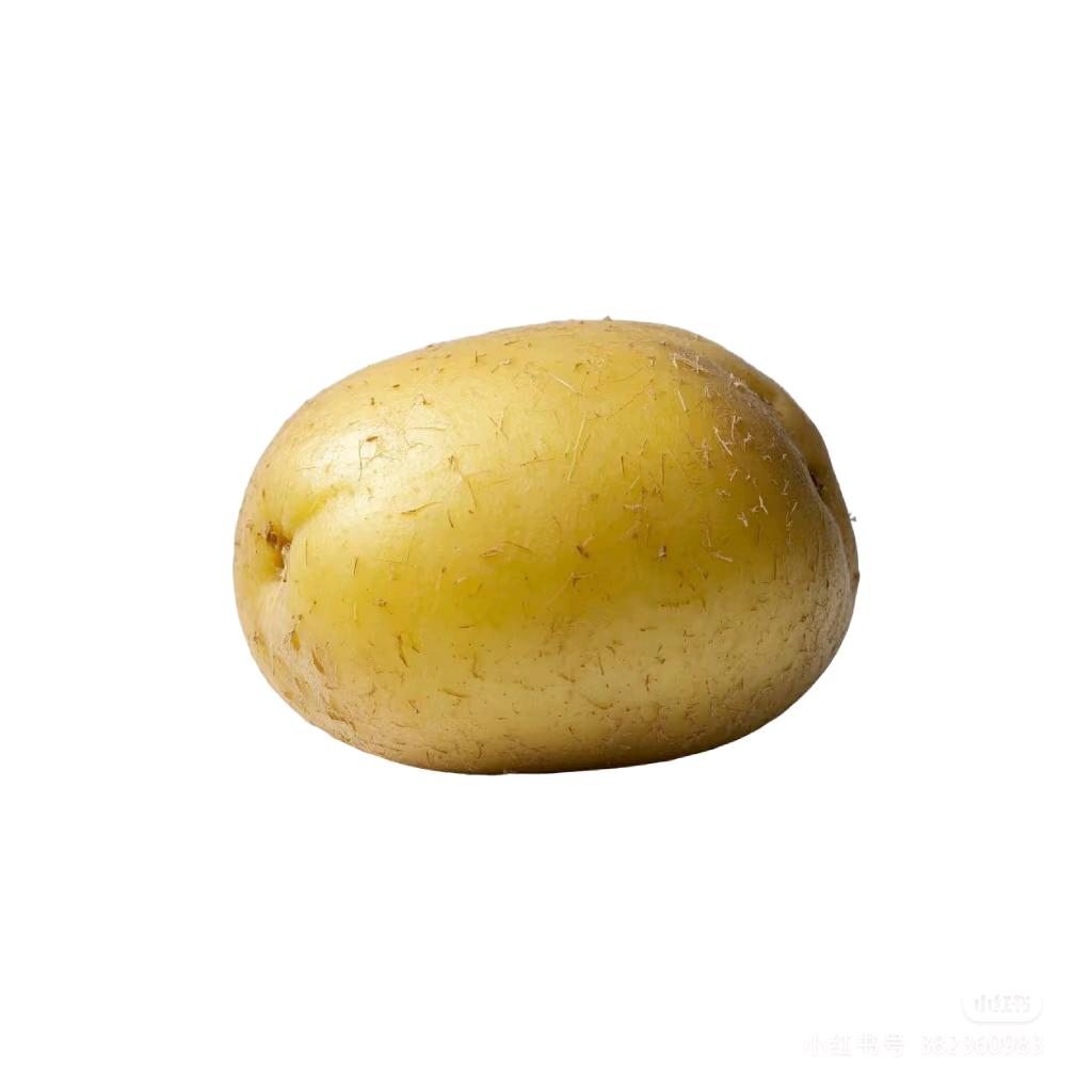 战斗的土豆🥔