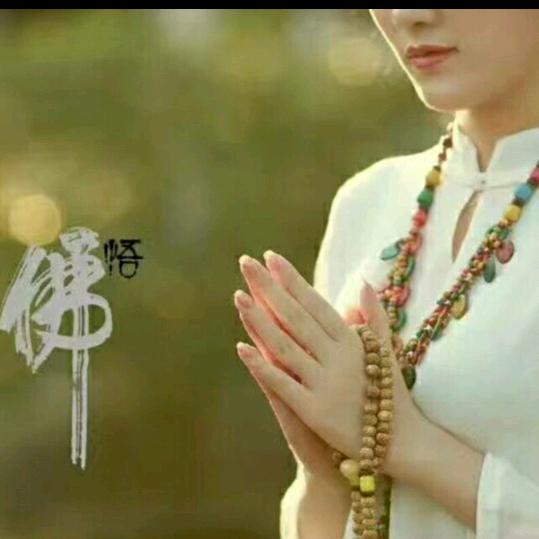 轮回岁月印