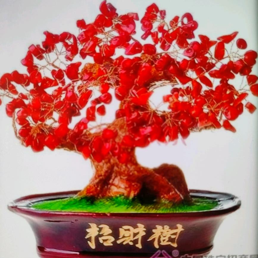 兰兰😀