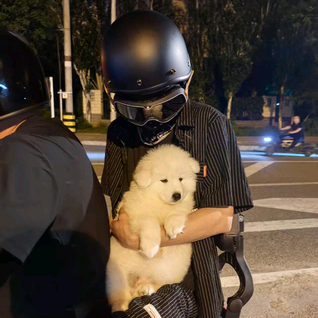 一条七七