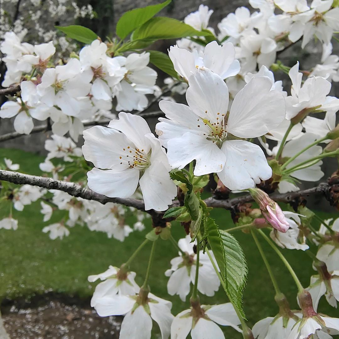 🌈月色阑珊处꧅