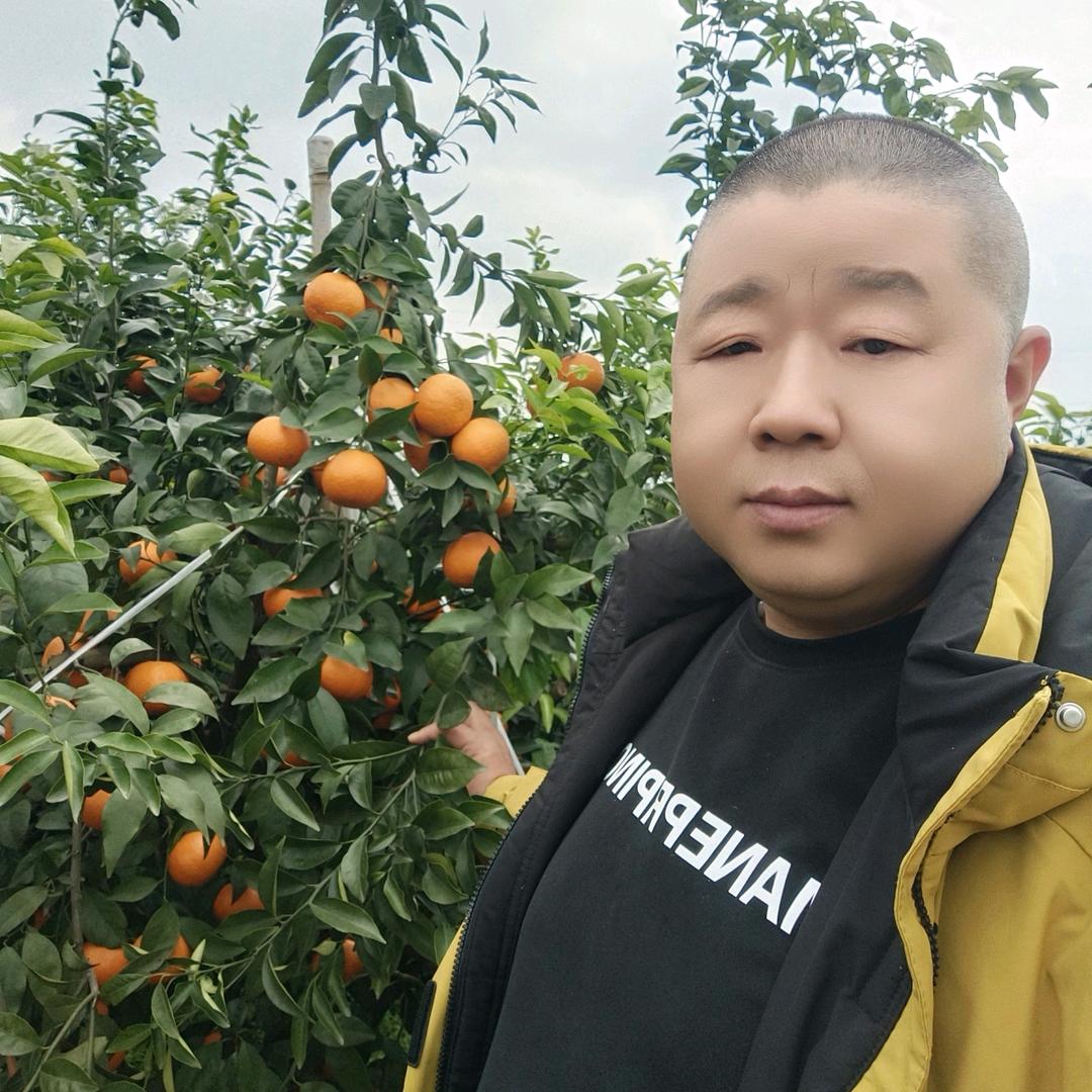 。。。。。。。。。。。