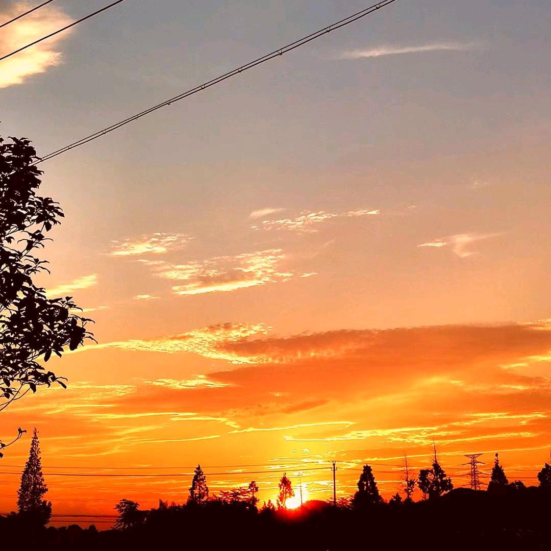 小鬼～(๑><๑）