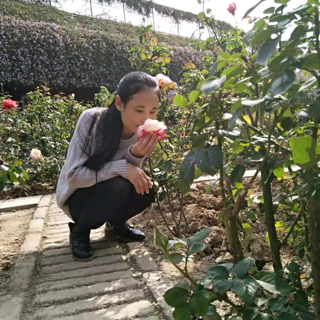 妙