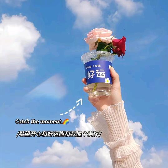 赏 心玥 目