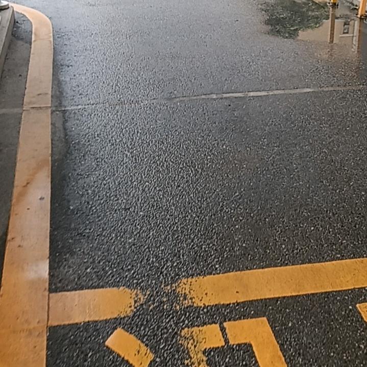苏仔