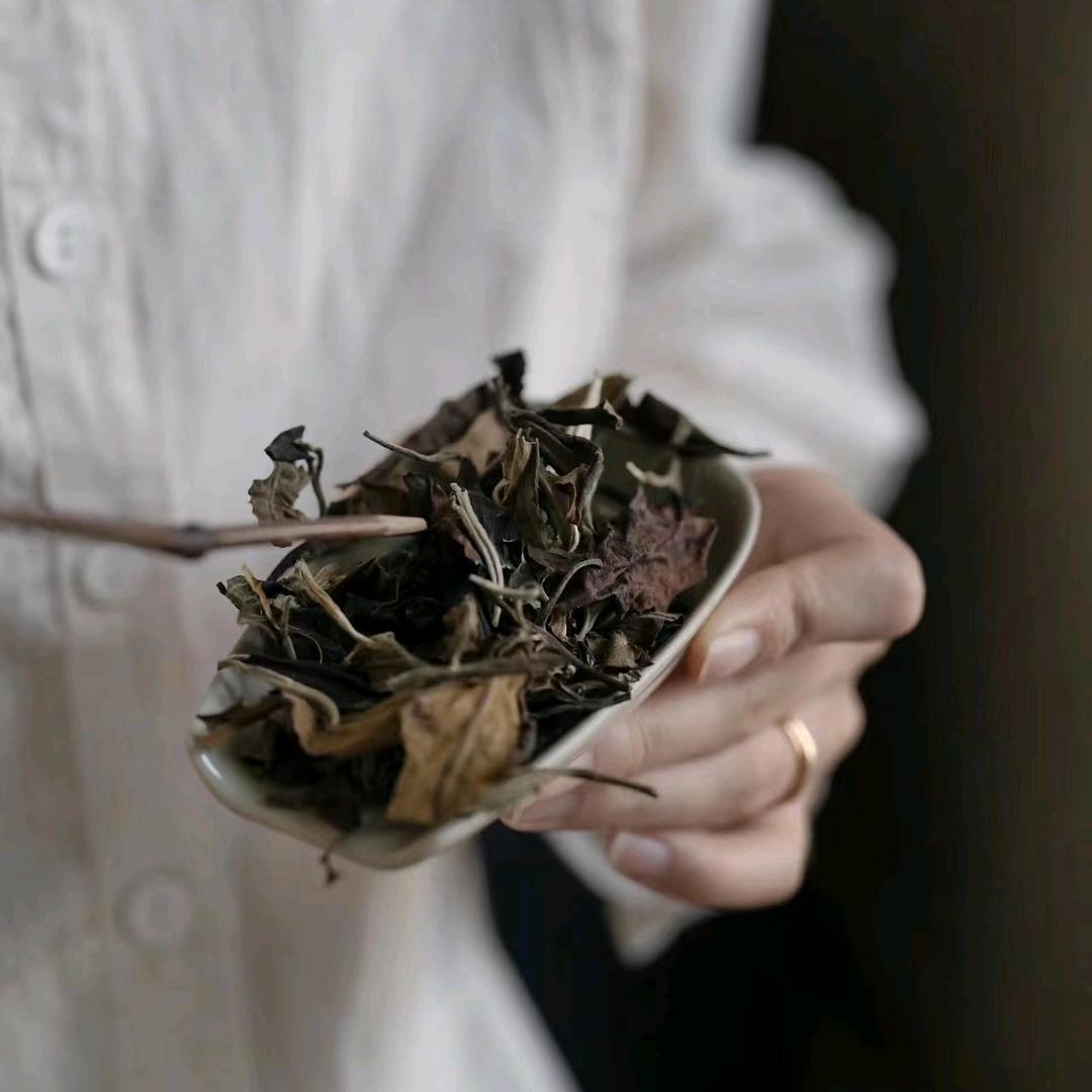 老白茶臻选茶仓