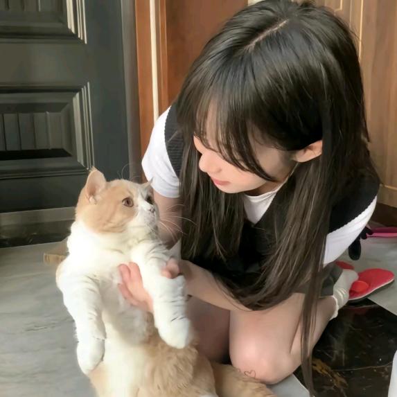 小飞鱼