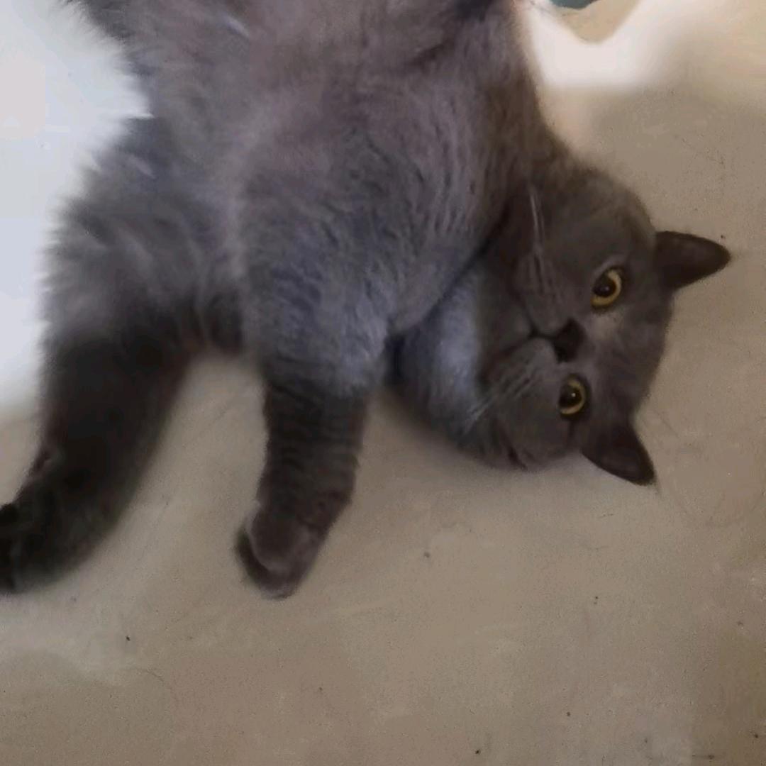念～～