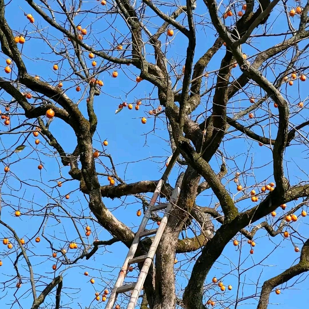 内啡肽给我满上