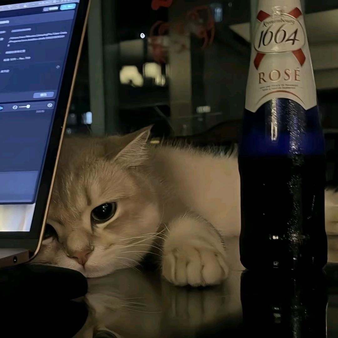 liquor.