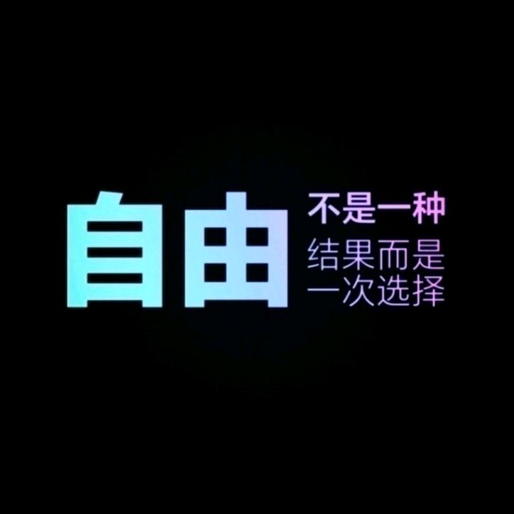 自由哥🐯
