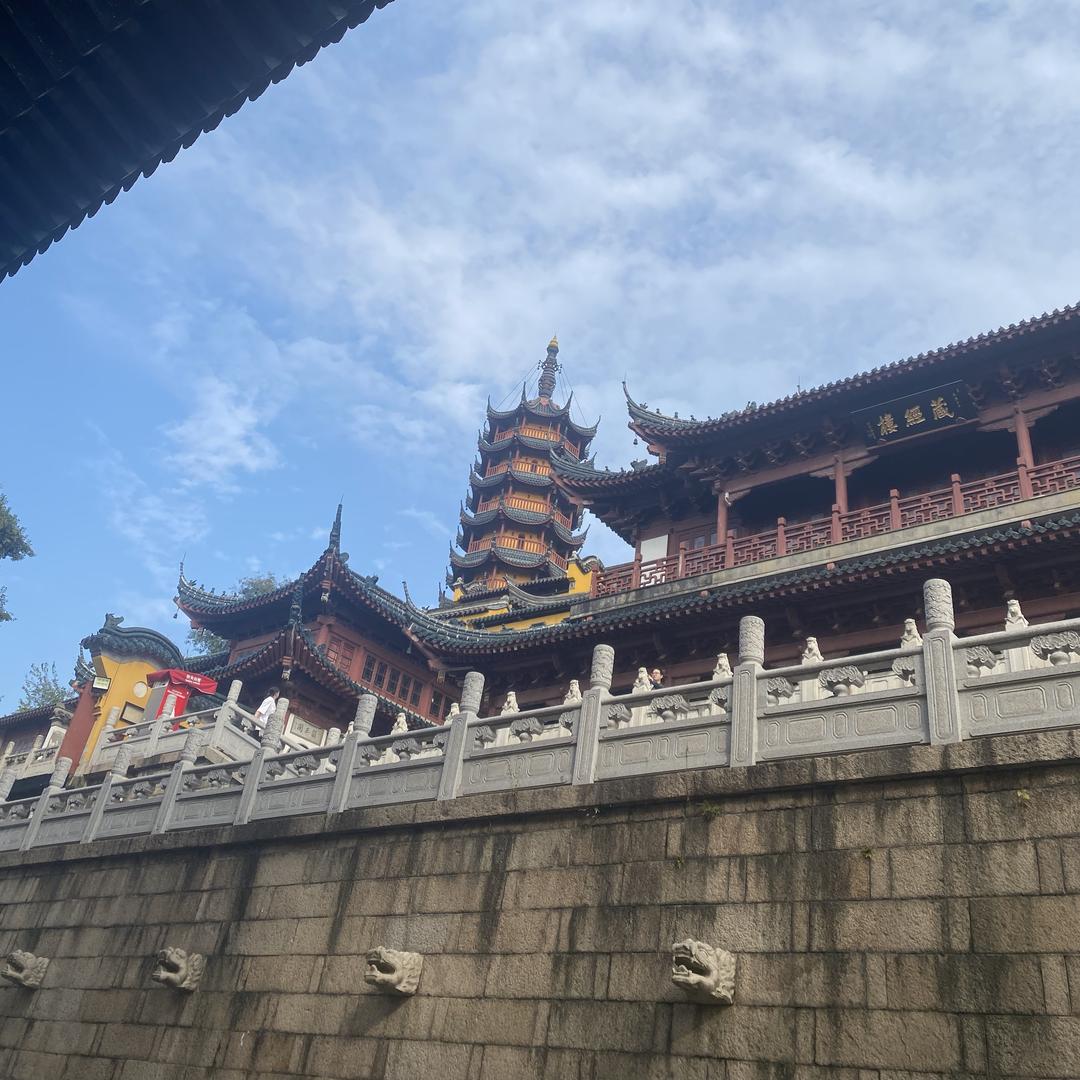 唐先森家的甜心教主