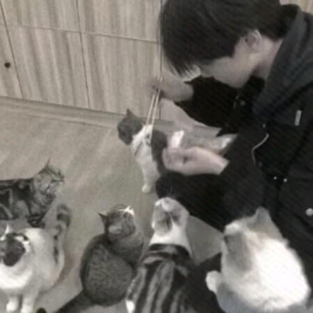 相遇、婉惜