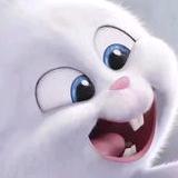 小石地热✌招财进宝🙏