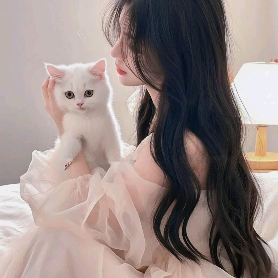 闪闪💕
