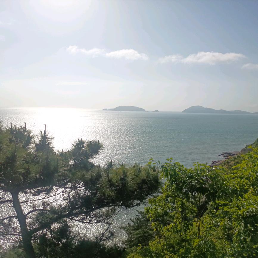 青柠萌芽LimeBud(童装)