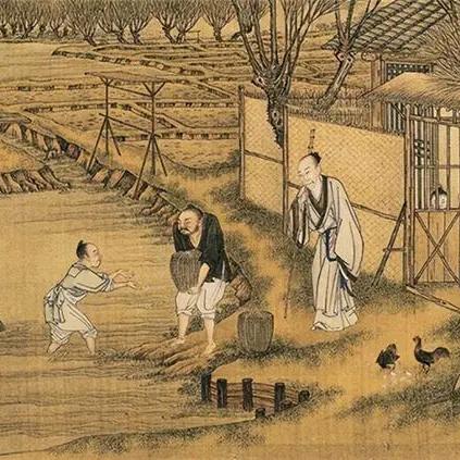 杏林桂枝