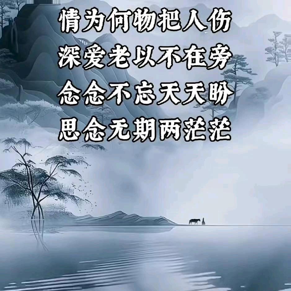 @追梦人