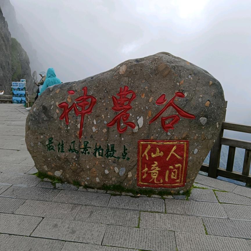 钓鱼人j