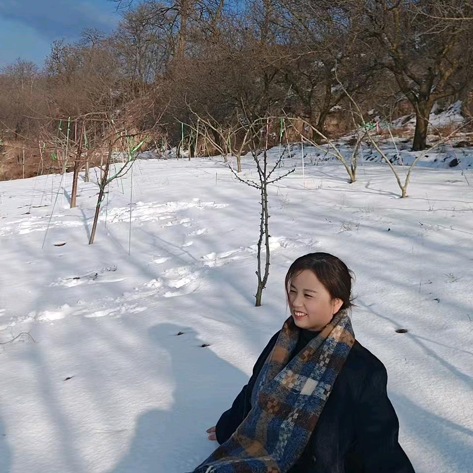 银月归来