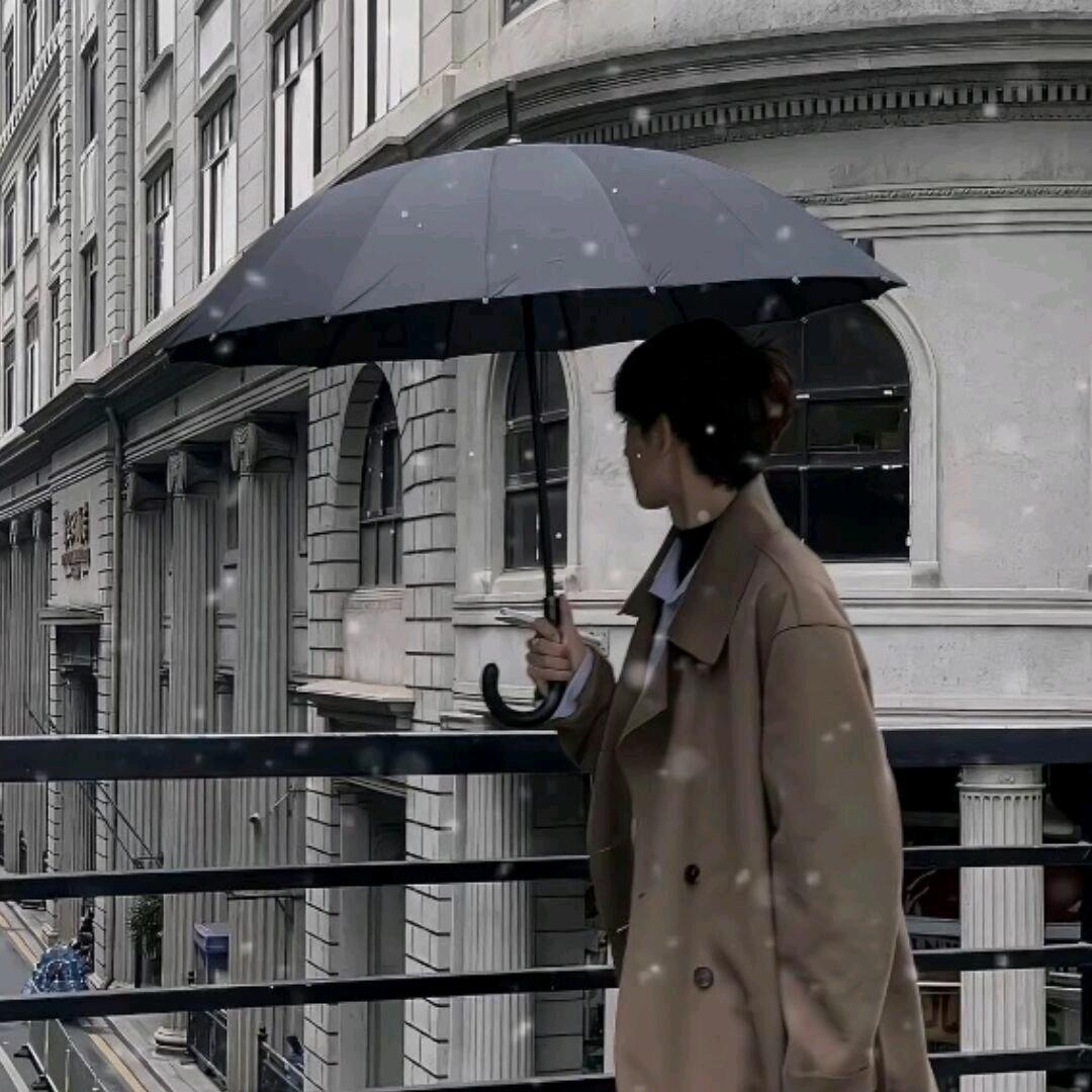 张❄️万❄️森