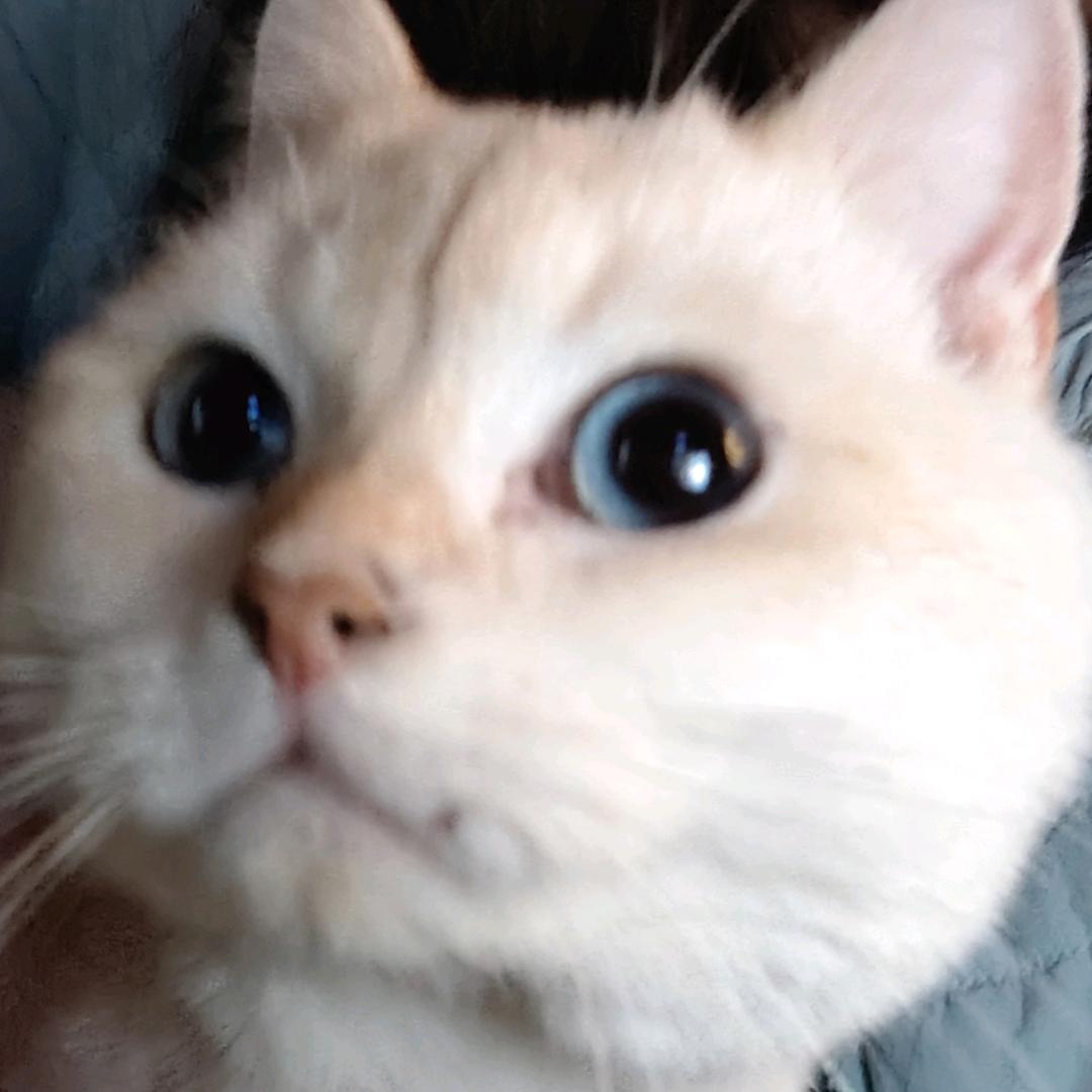 颜
