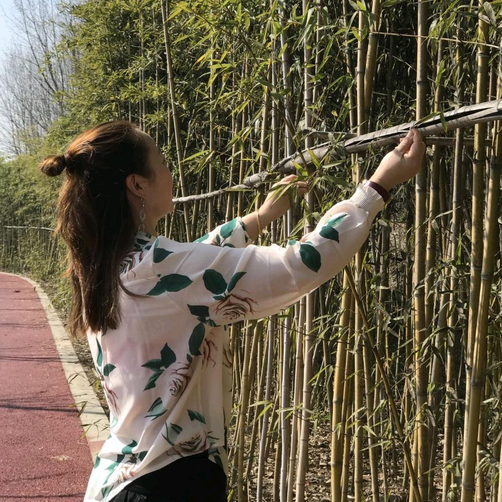 撕碎的谎言