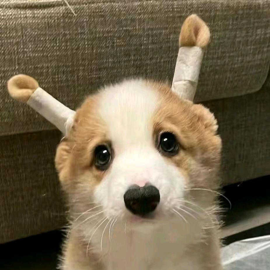 今天吃点啥٩( 'ω' )و
