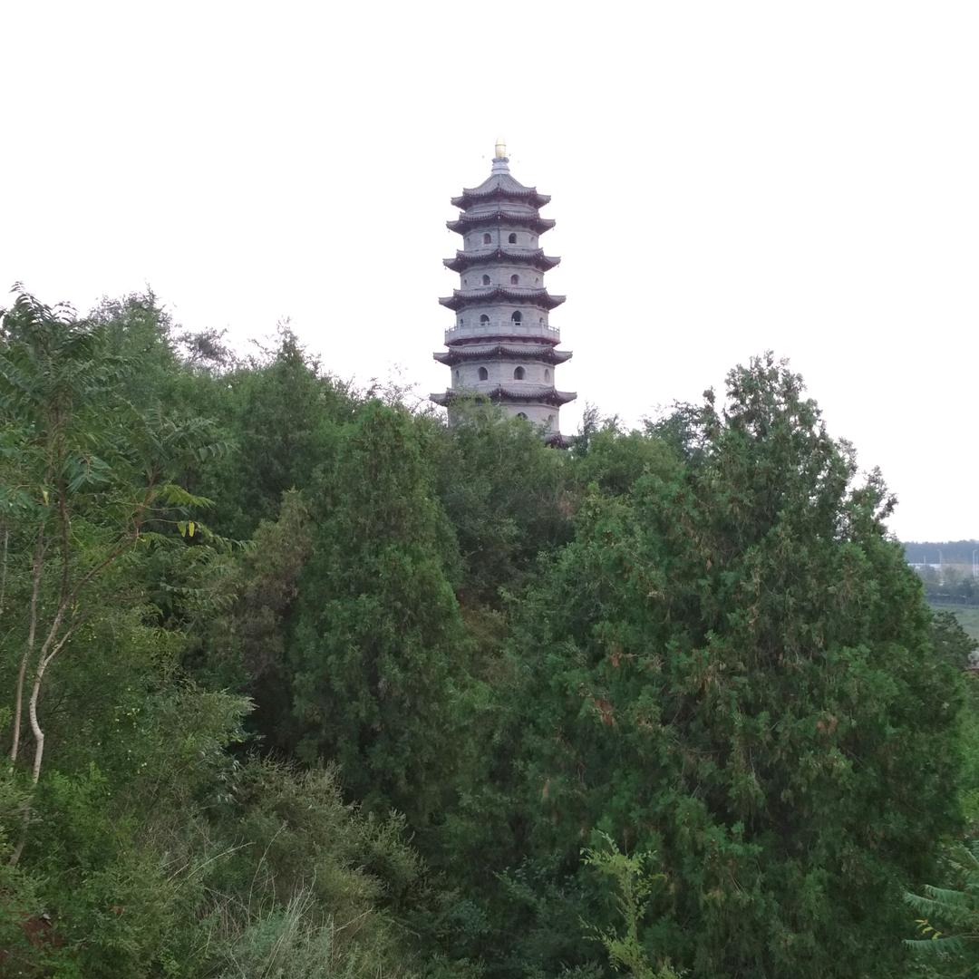 我不是精神病