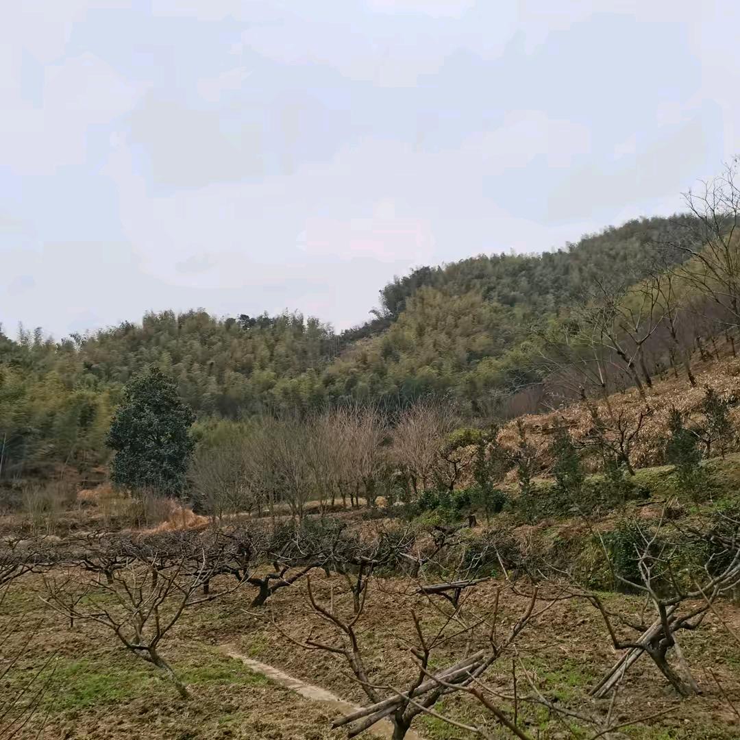 @：👩‍❤️‍👩独宠杨❤️🇨🇳