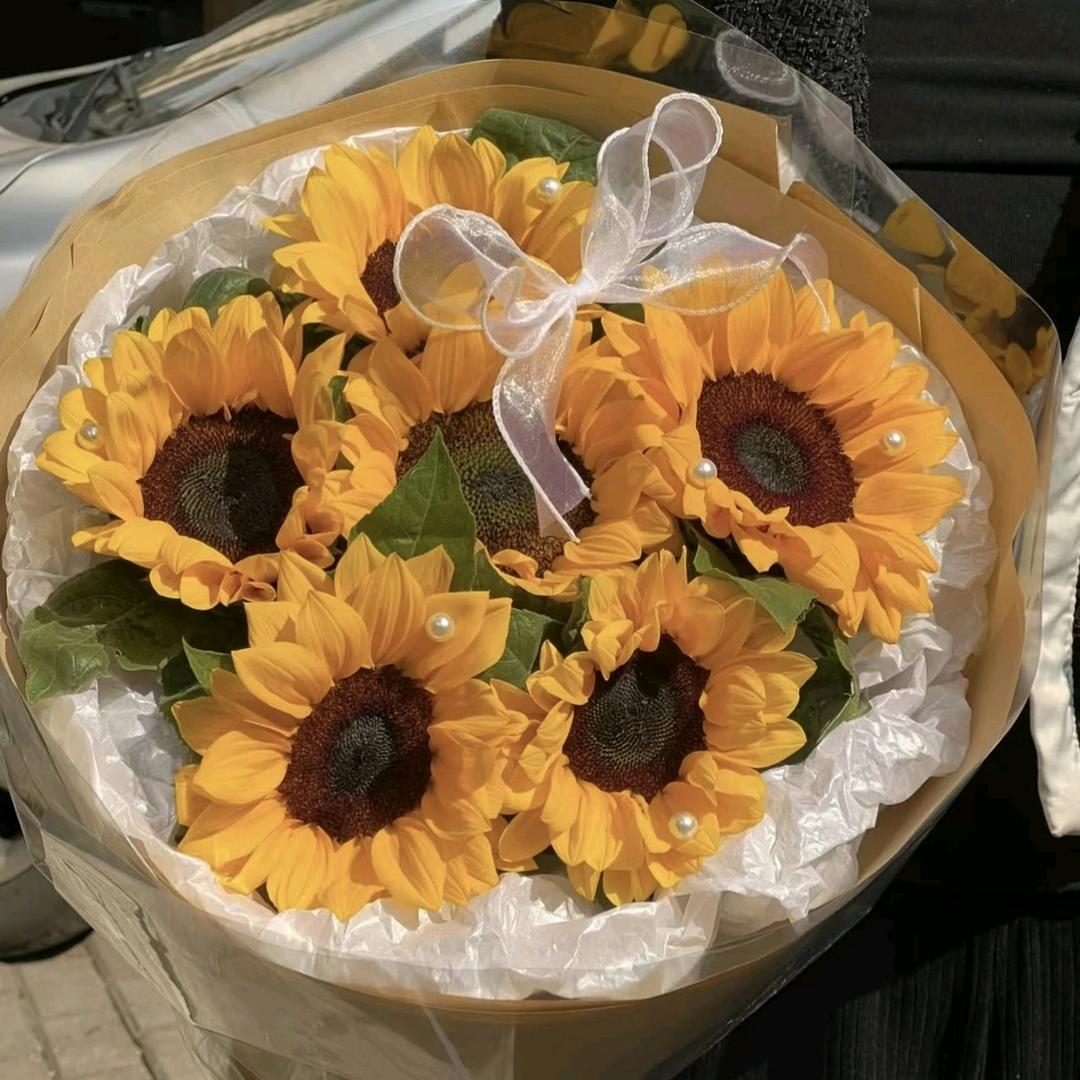 送你一朵向日葵🌻
