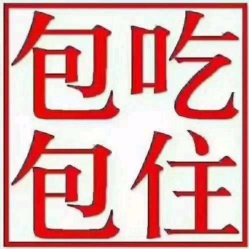 众杰人力
