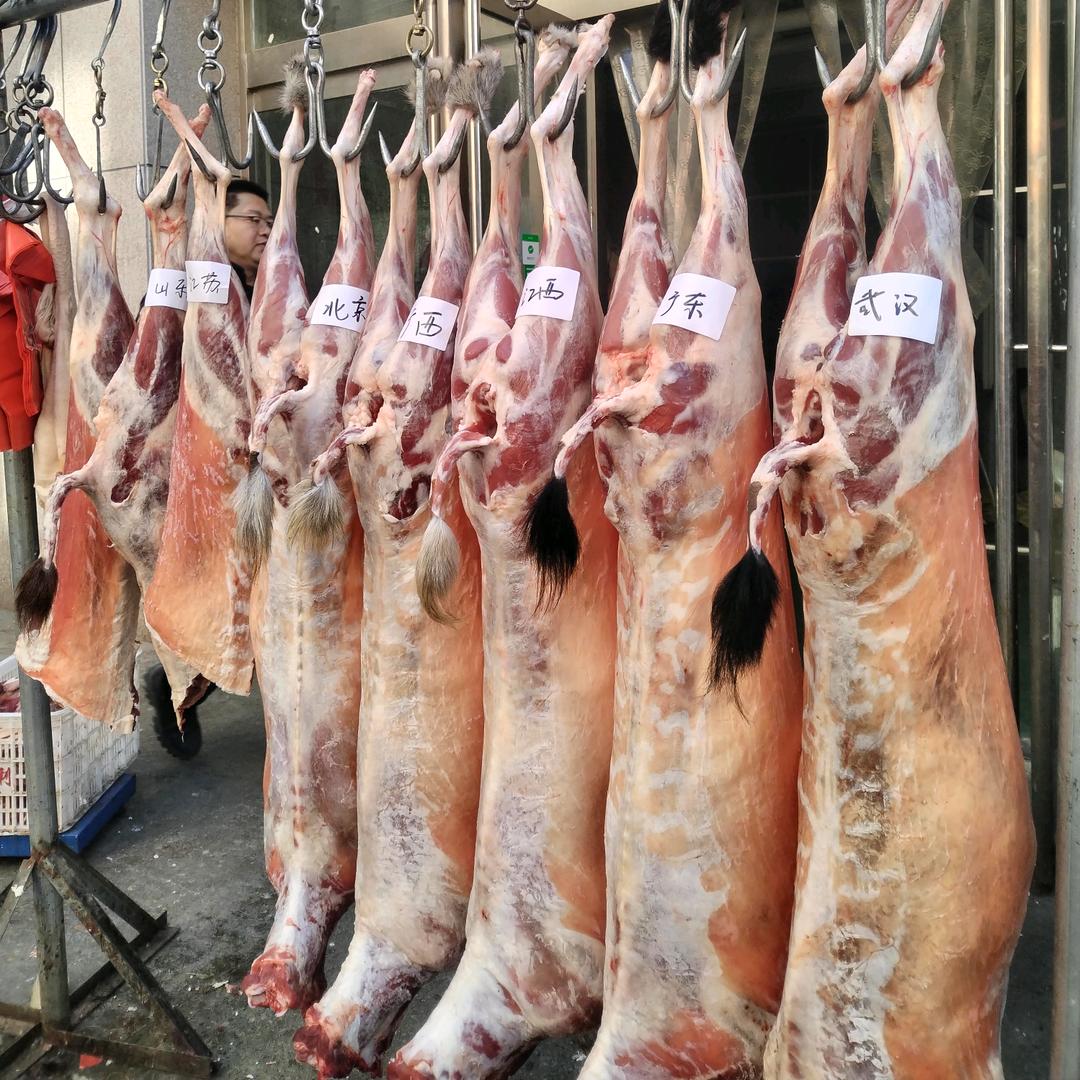 单县本地山羊肉