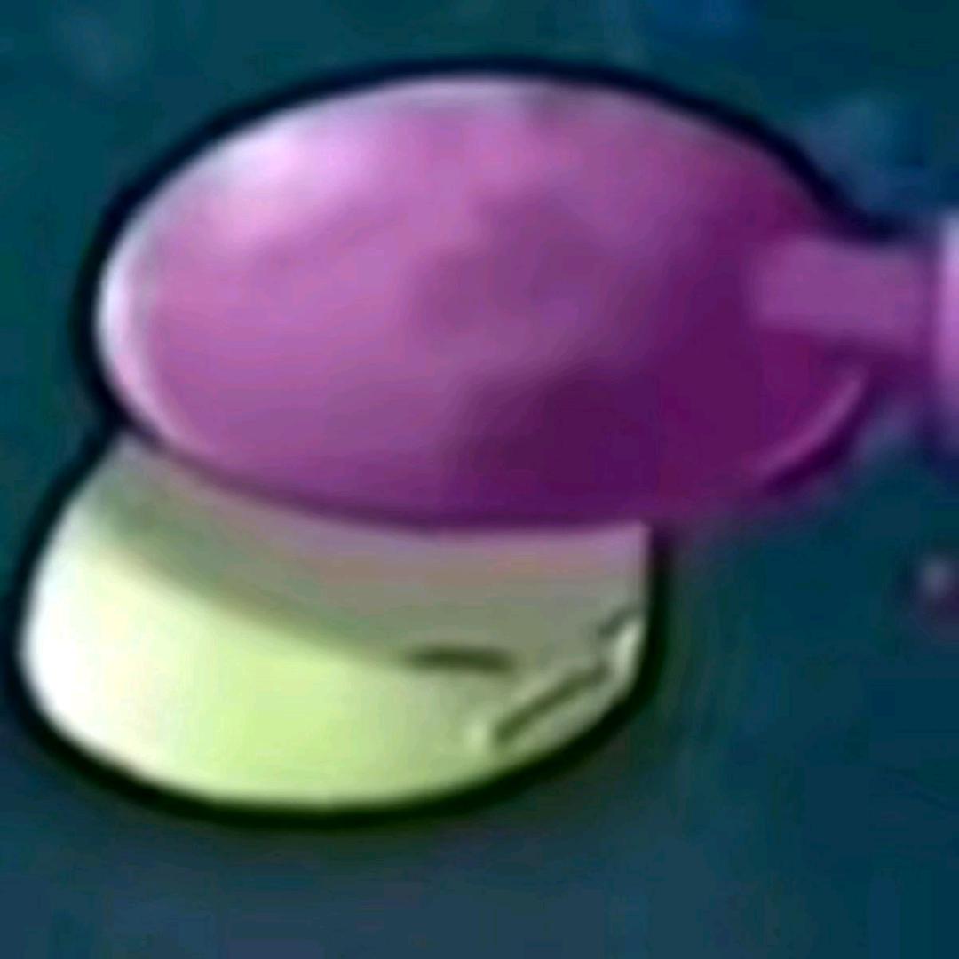 🟣🟣🟣🟣🟣🟣