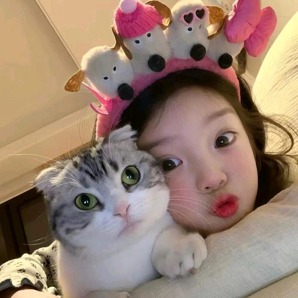 猩猩∞