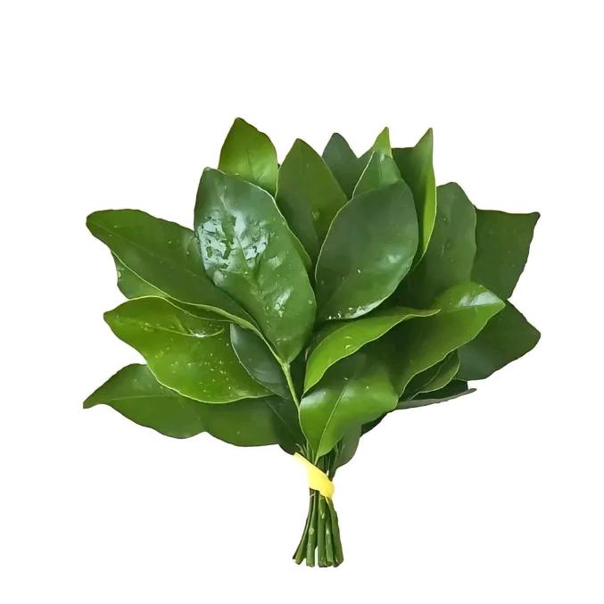 见面就脸红